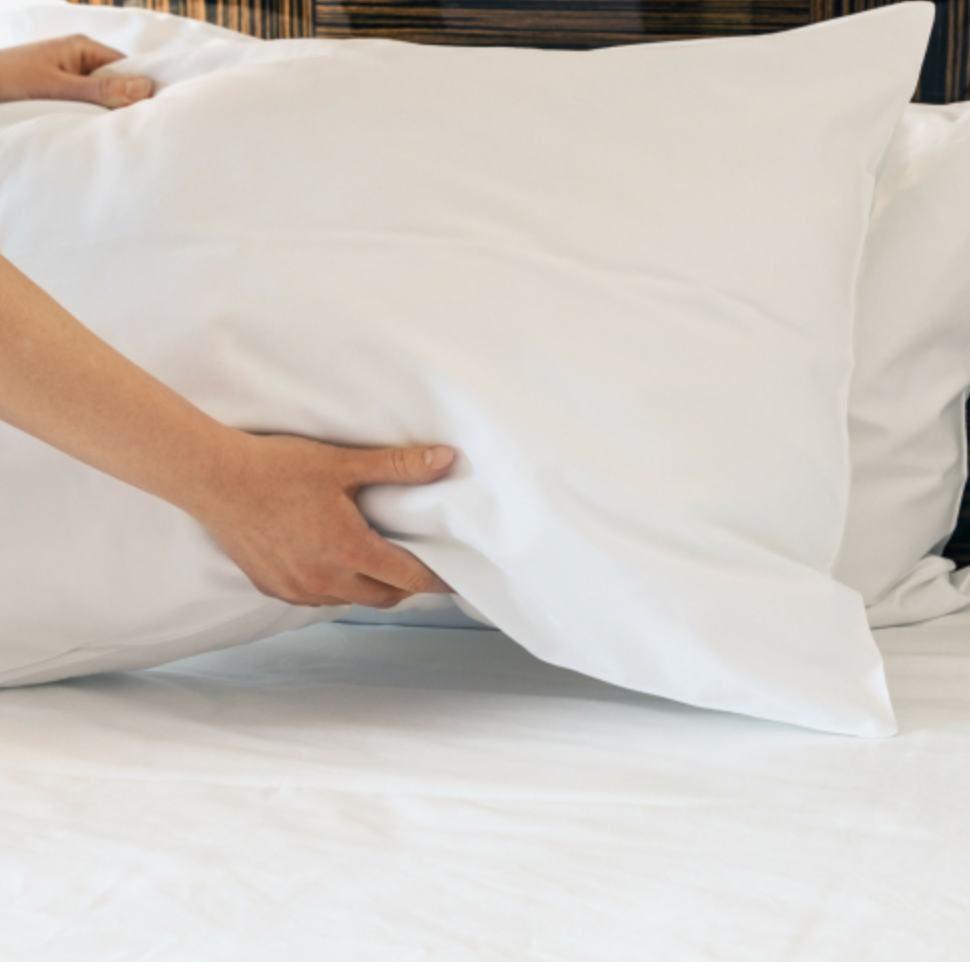 Bamboo Pillow Case