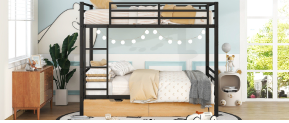 Bunk bed in a room with decor elements like plants and furniture.