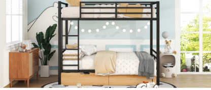 Bunk bed in a room with decor elements like plants and furniture.